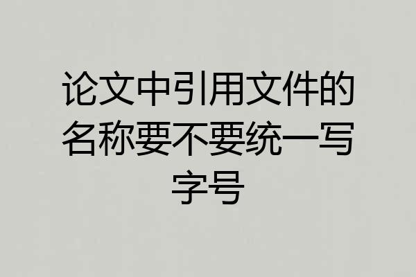 论文中引用文件的名称要不要统一写字号