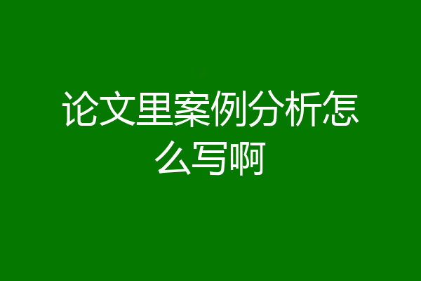 论文里案例分析怎么写啊