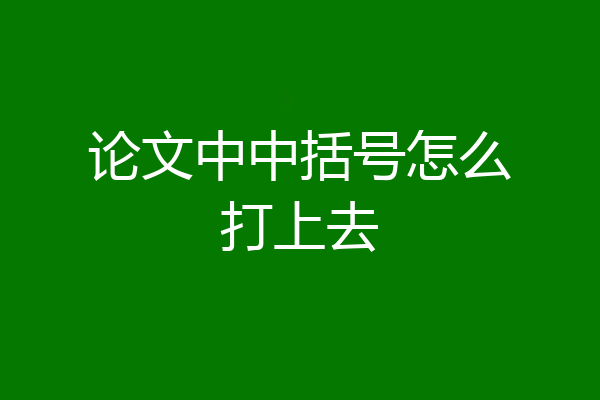 论文中中括号怎么打上去