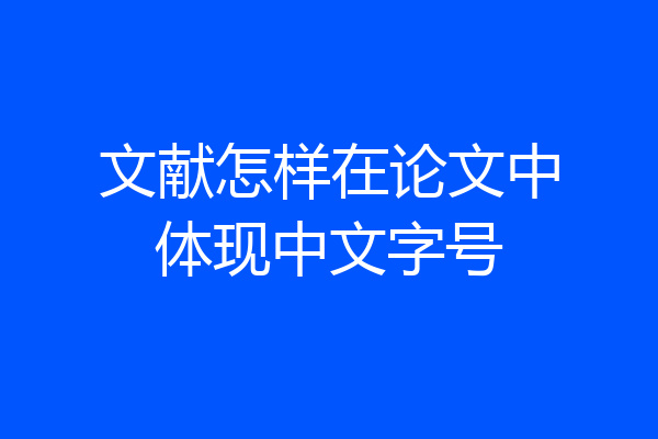 文献怎样在论文中体现中文字号