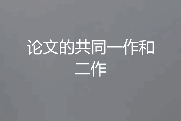 论文的共同一作和二作