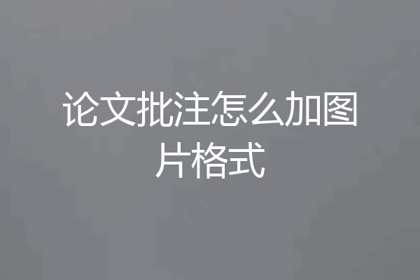 论文批注怎么加图片格式