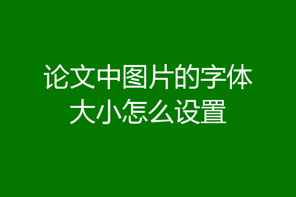 论文中图片的字体大小怎么设置