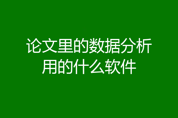 论文里的数据分析用的什么软件