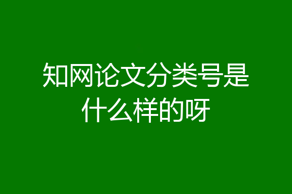知网论文分类号是什么样的呀