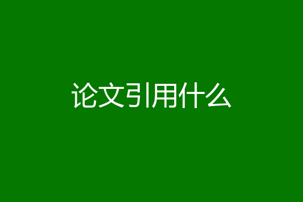 论文引用什么