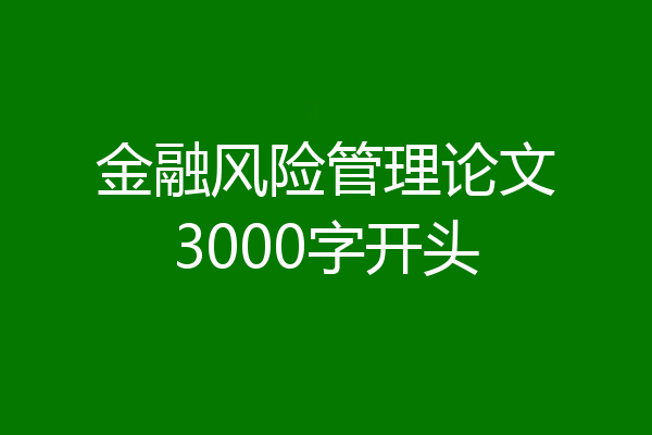 金融风险管理论文3000字开头