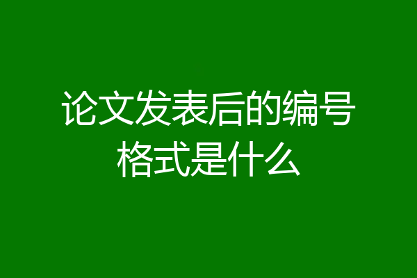 论文发表后的编号格式是什么