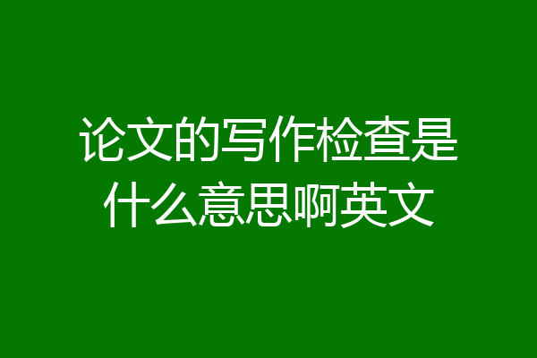 论文的写作检查是什么意思啊英文