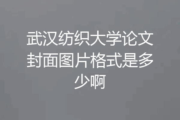 武汉纺织大学论文封面图片格式是多少啊