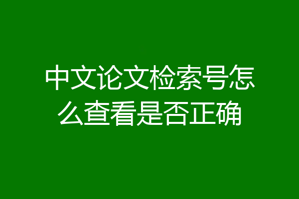 中文论文检索号怎么查看是否正确