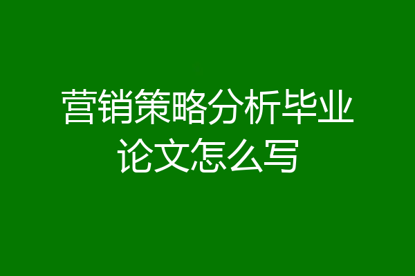 营销策略分析毕业论文怎么写