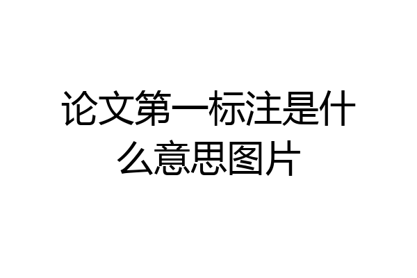 论文第一标注是什么意思图片