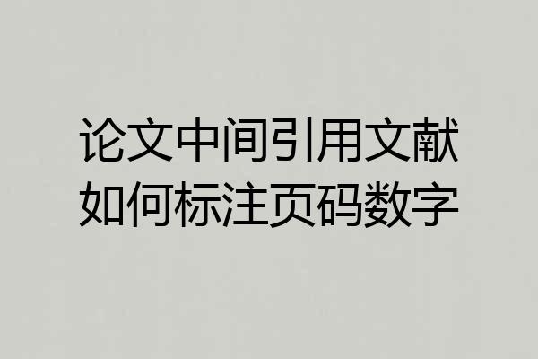 论文中间引用文献如何标注页码数字