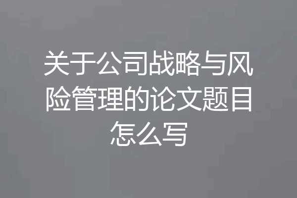 关于公司战略与风险管理的论文题目怎么写