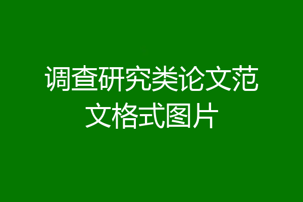 调查研究类论文范文格式图片