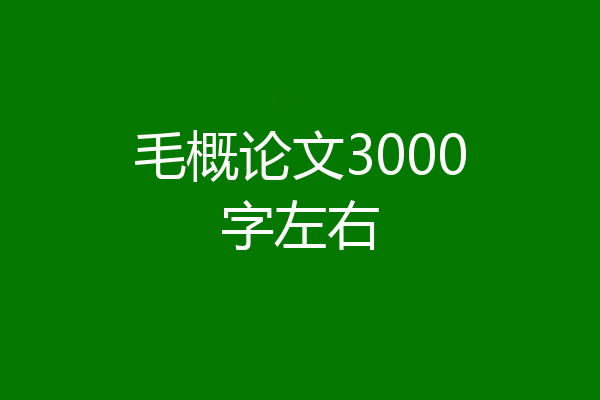 毛概论文3000字左右