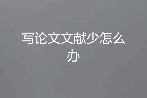 写论文文献少怎么办
