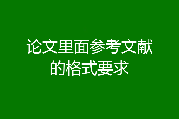 论文里面参考文献的格式要求