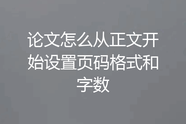 论文怎么从正文开始设置页码格式和字数