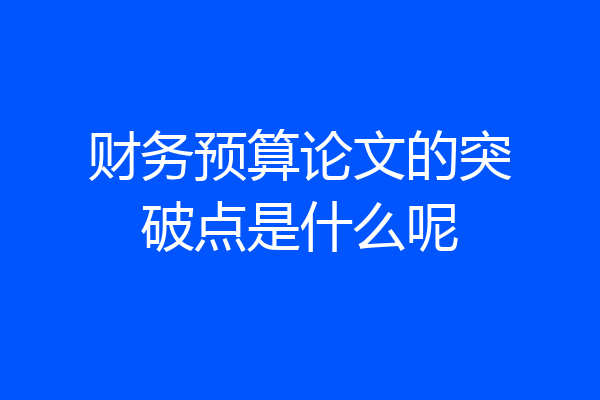 财务预算论文的突破点是什么呢