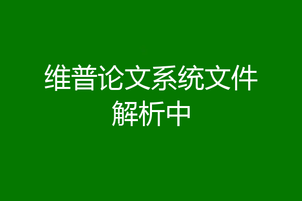 维普论文系统文件解析中