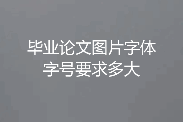 毕业论文图片字体字号要求多大