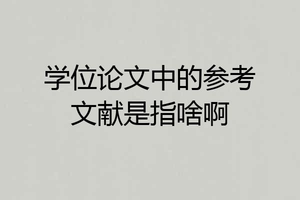学位论文中的参考文献是指啥啊