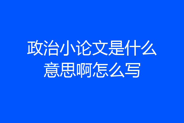 政治小论文是什么意思啊怎么写