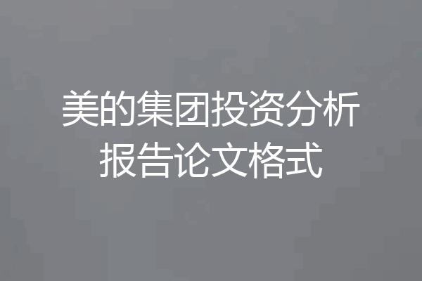 美的集团投资分析报告论文格式