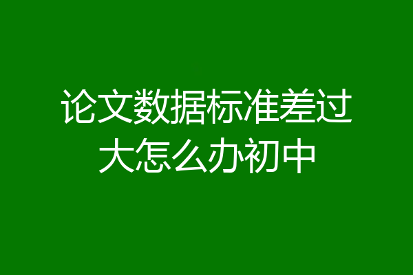 论文数据标准差过大怎么办初中