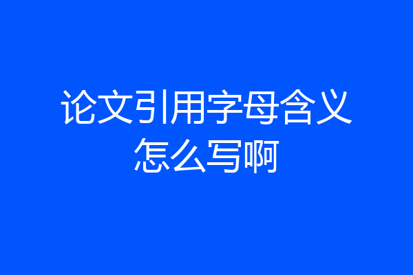 论文引用字母含义怎么写啊