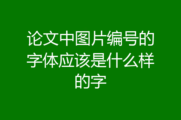 论文中图片编号的字体应该是什么样的字