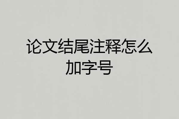 论文结尾注释怎么加字号