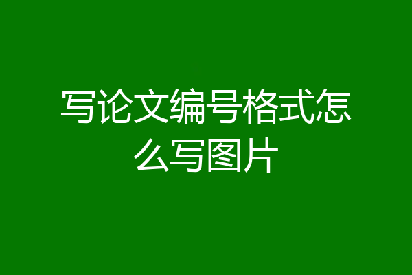 写论文编号格式怎么写图片