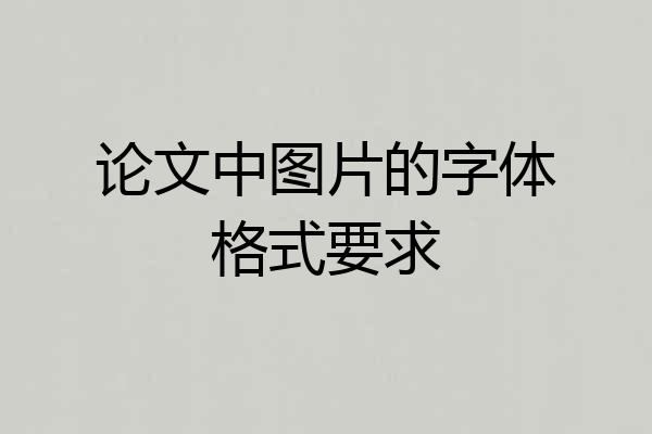 论文中图片的字体格式要求
