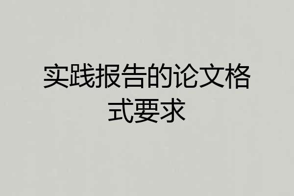 实践报告的论文格式要求