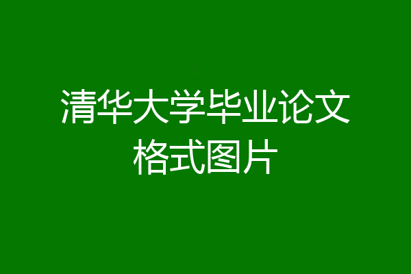 清华大学毕业论文格式图片