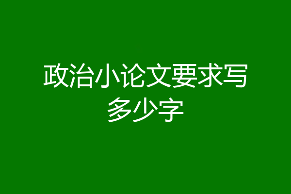 政治小论文要求写多少字