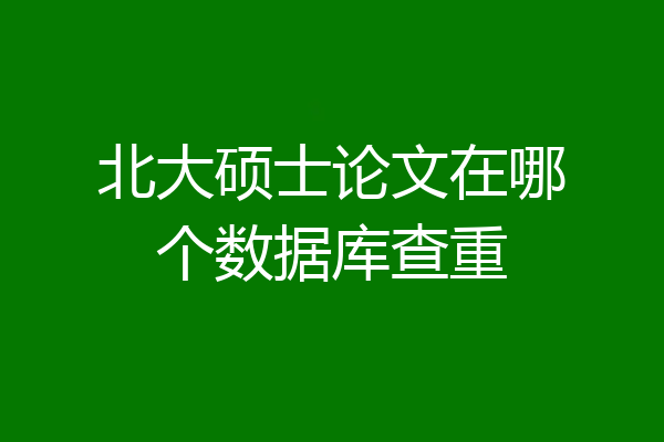 北大硕士论文在哪个数据库查重