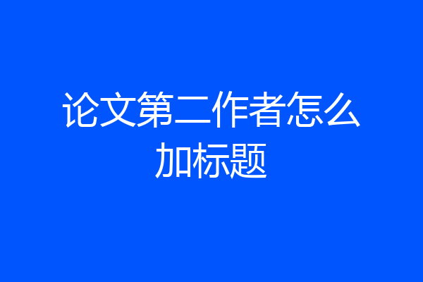 论文第二作者怎么加标题
