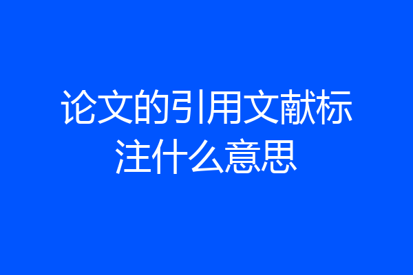 论文的引用文献标注什么意思