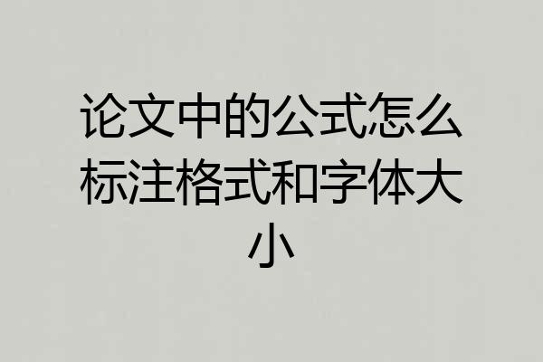 论文中的公式怎么标注格式和字体大小
