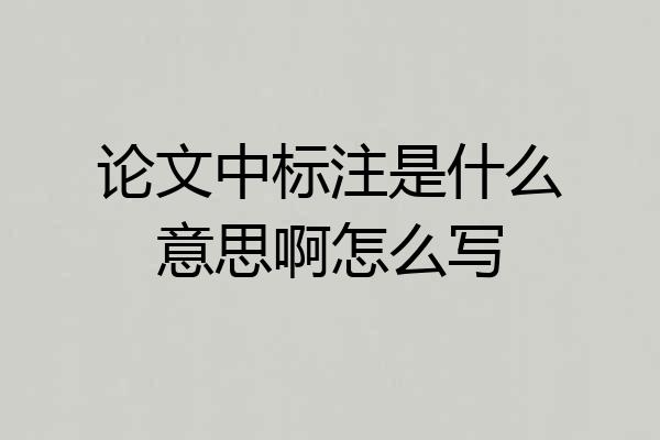 论文中标注是什么意思啊怎么写