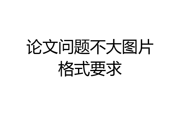 论文问题不大图片格式要求