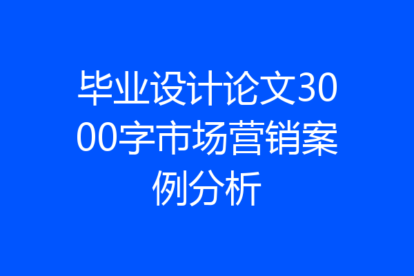 毕业设计论文3000字市场营销案例分析