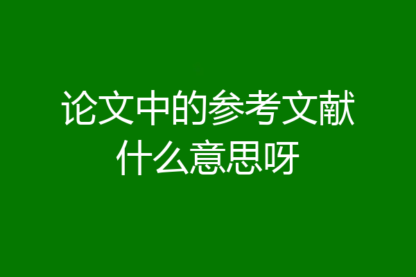 论文中的参考文献什么意思呀
