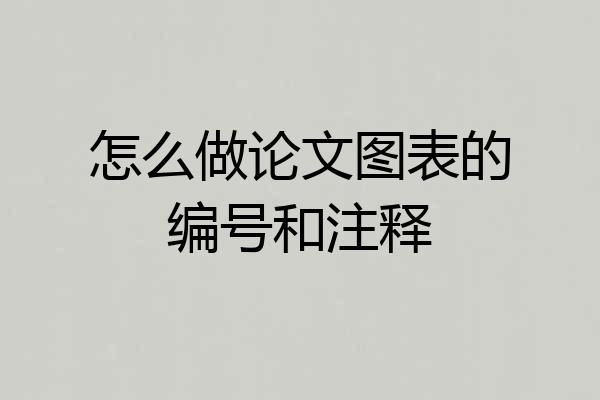 怎么做论文图表的编号和注释