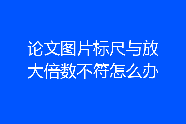 论文图片标尺与放大倍数不符怎么办
