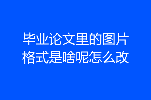 毕业论文里的图片格式是啥呢怎么改